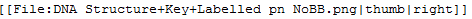 Uploading Pics 1.png